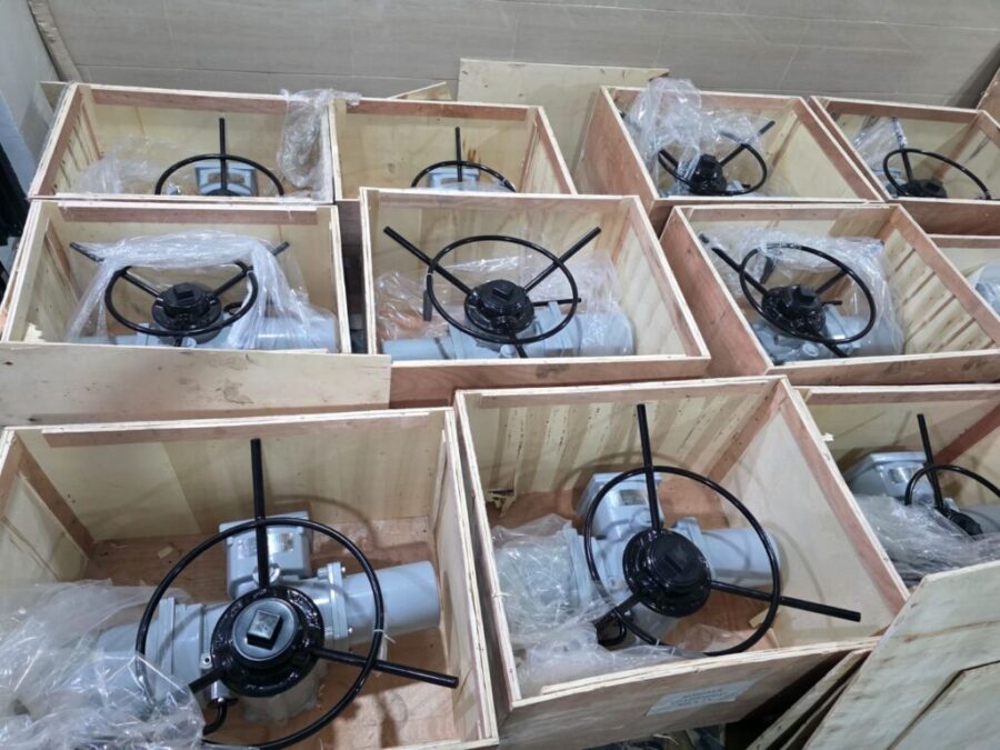 VV Electric Actuator AKB (5) VV Electric Actuator AKB (5)